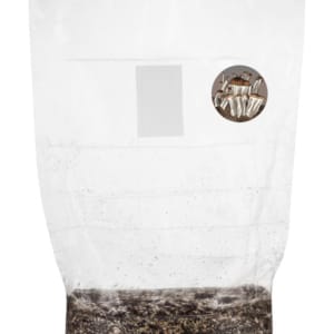 GROWKIT Dc Mak (Full-Auto)