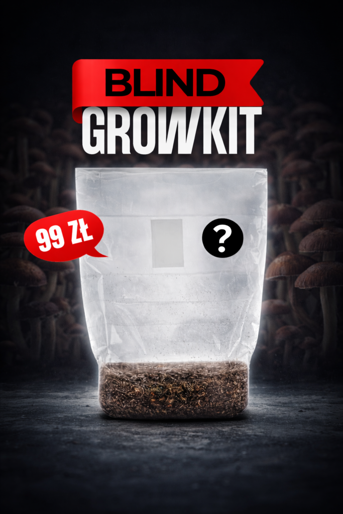 BLIND GROWKIT - Promocja