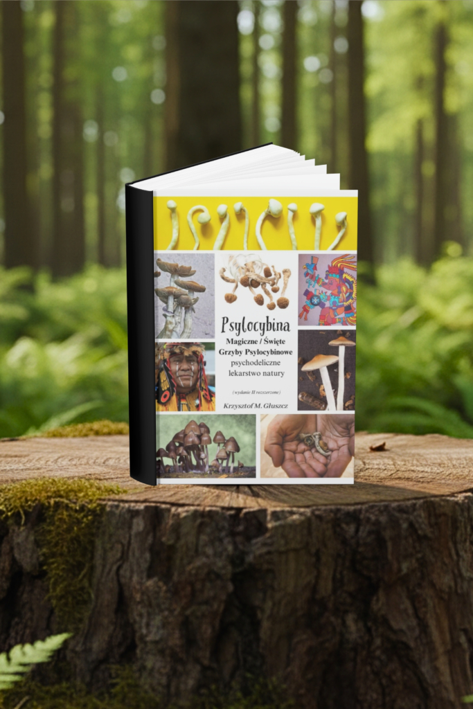 counterculture 1960s grzyby - badania nad psylocybiną - beginner mycology - początkujący mykologia